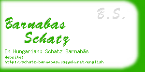 barnabas schatz business card