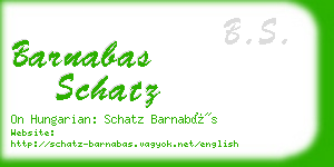 barnabas schatz business card